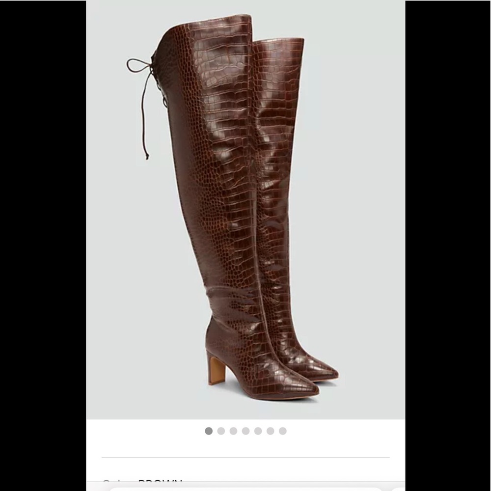Thigh High Boots (Brand New)